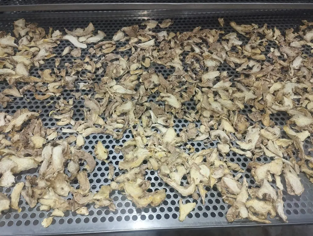 Hojuelas de jengibre deshidratado al horno sobre bandeja