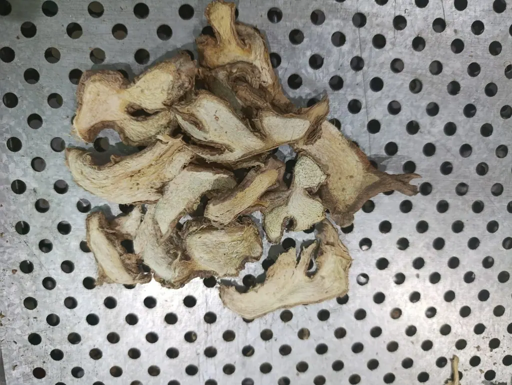 Detalle de hojuelas de jengibre secadas al horno
