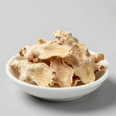Ginger Snack Bites — Mesa Verde