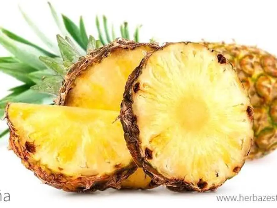 Central Jungle Pineapple