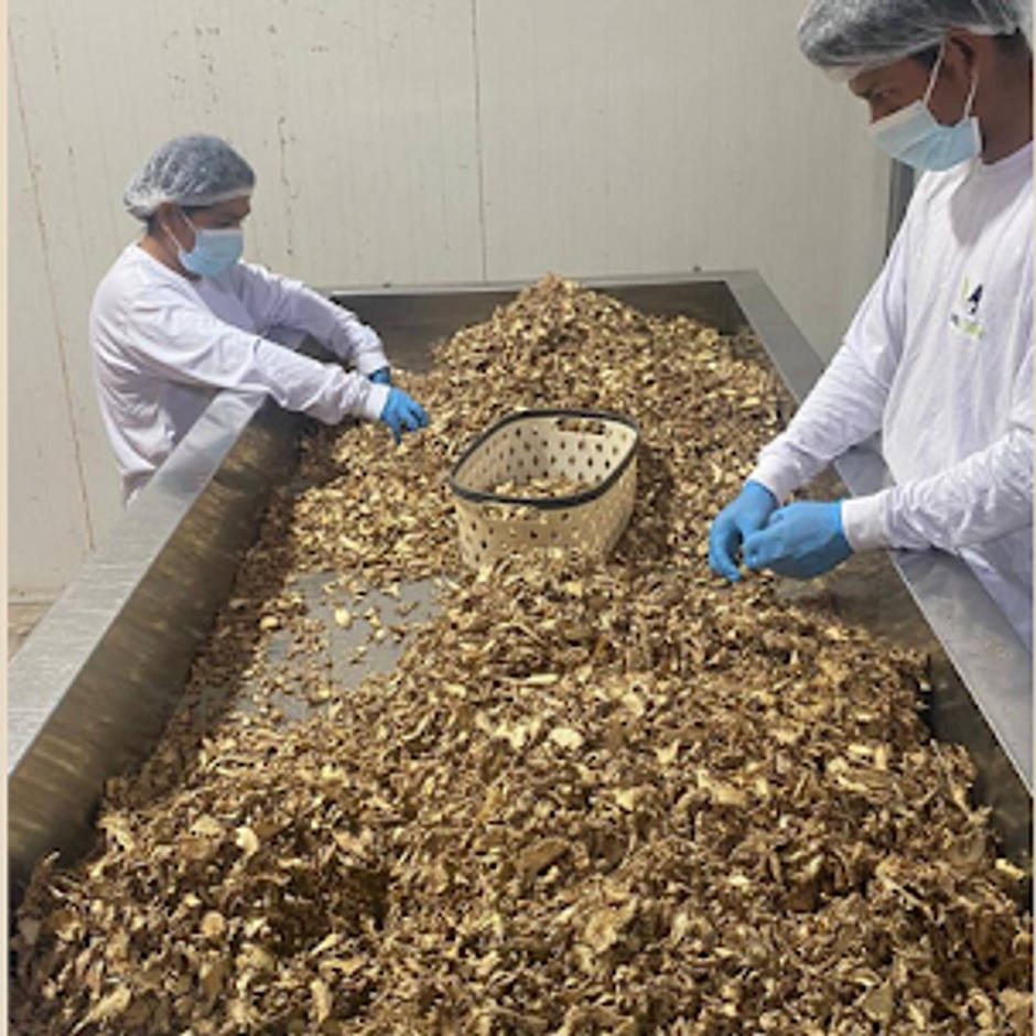 Dehydrated product processed at the Mesa Verde plant